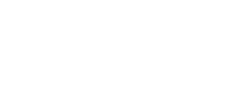 Opus Insights